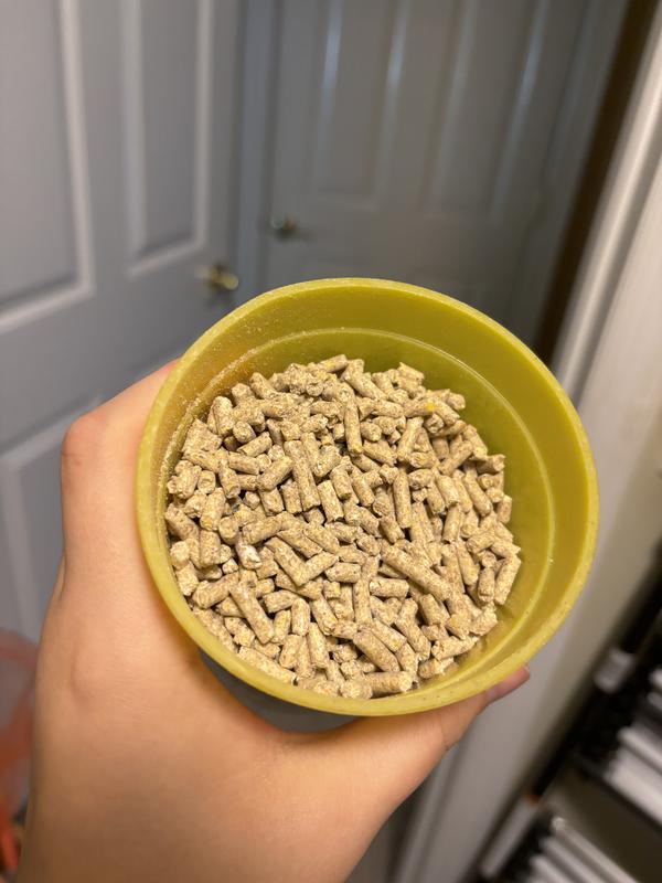 Feed in cup