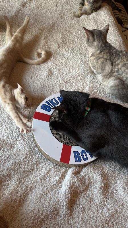 Sausage and Fred Demonstrating the Size