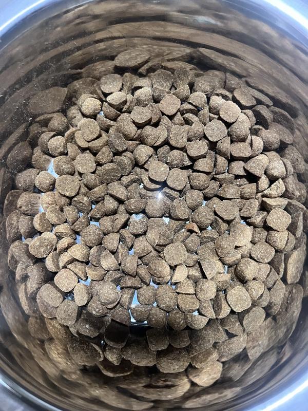 You can see a small mold spot on a piece in the middle.