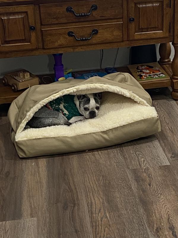 Ziva is happy and relaxed