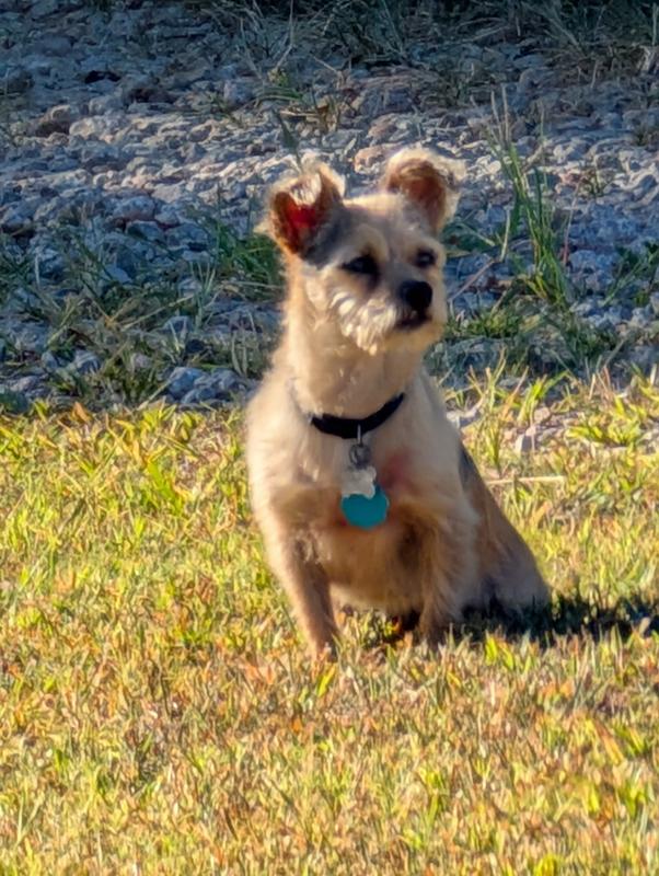 She loves to be outside