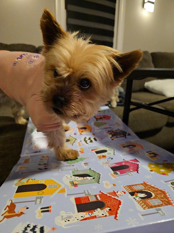 Hurry up and open these for me