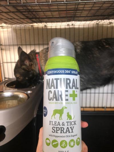 Natural care flea and tick spray safe hotsell for dogs