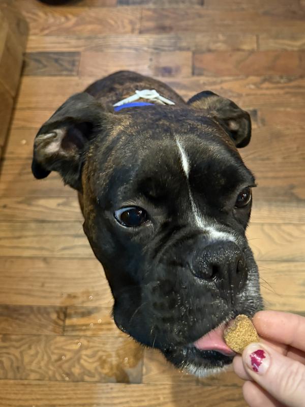 Yummy healthy treat for Azi