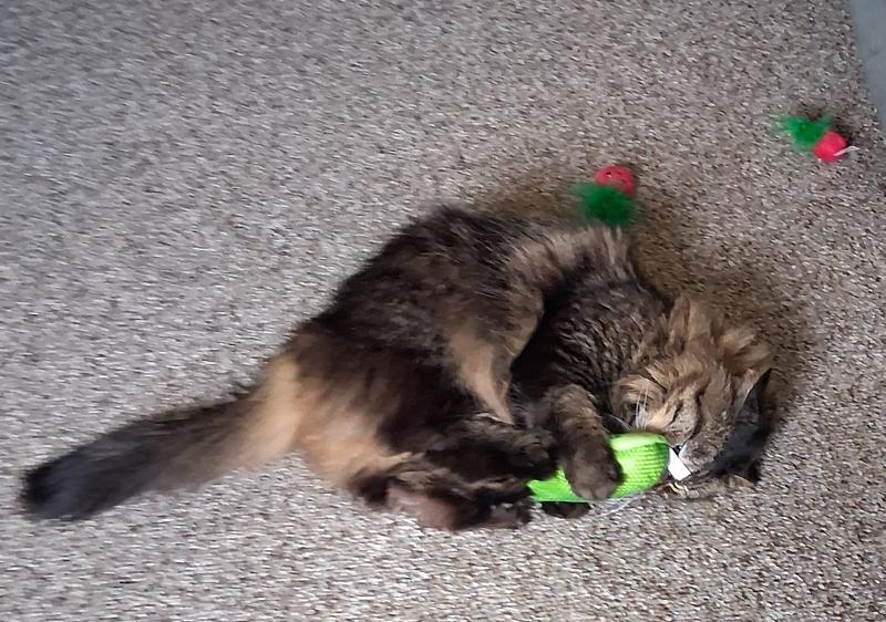 Must destroy pickle.