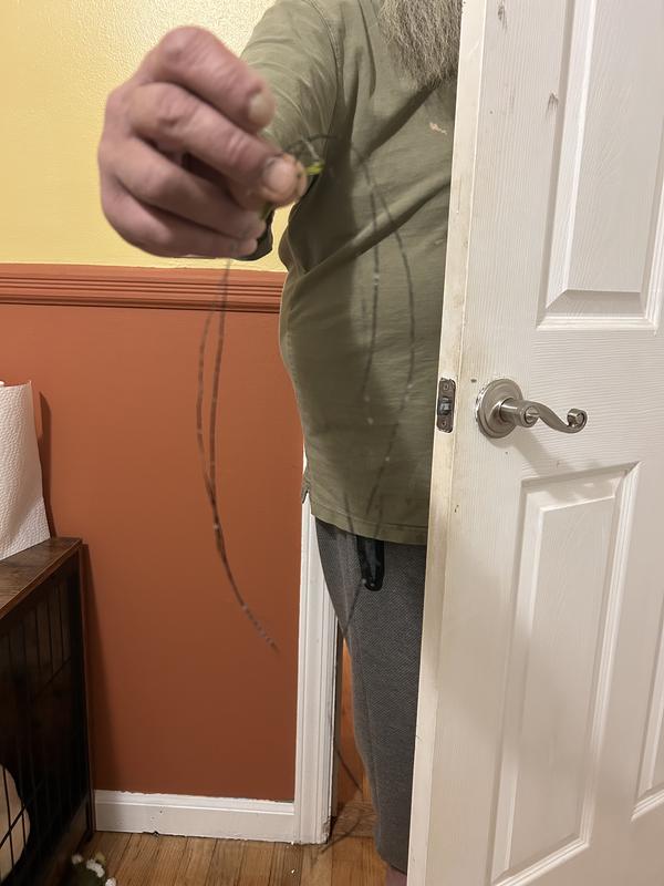 Threads from the mat.