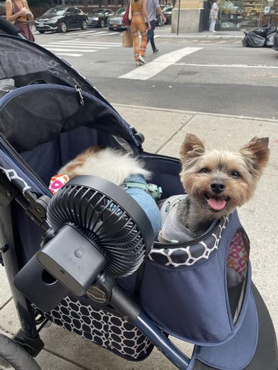 dog carrier stroller i.Pet Pet Stroller Dog Carrier Foldable Pram 3 IN 1 Middle Size Grey –  Victoria's Orchid main image 0