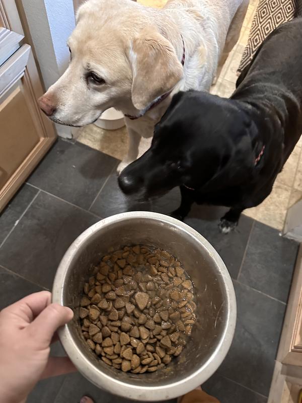 Sara and Bailey impatiently waiting for their yummy meal!