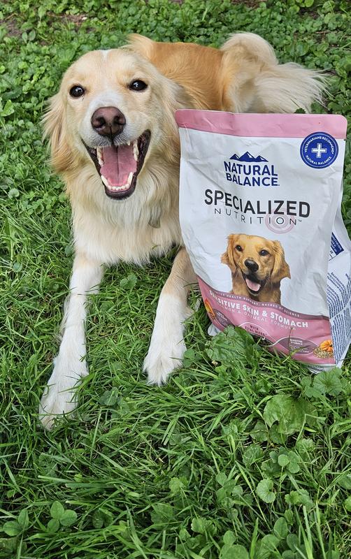 Missy gets so excited for this food!