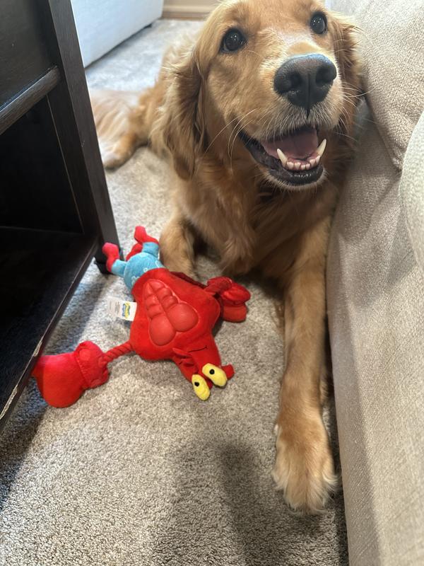 Milly stole this toy the first chance she got and took it to her favorite hiding spot for her sister to find.