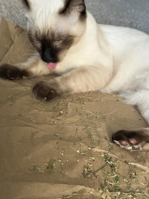 Totally zonked and can’t keep her tongue in her mouth