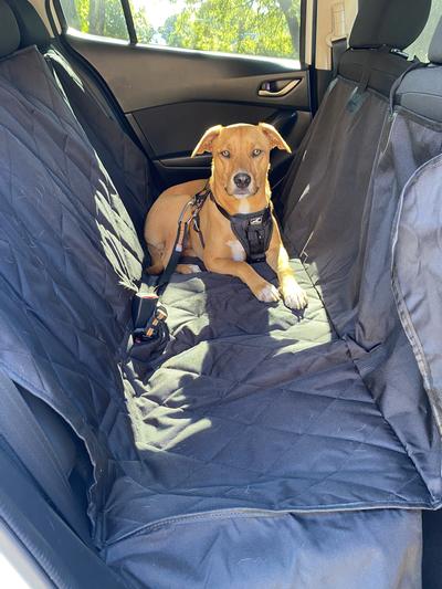 Dog Car Seat Cover Waterproof – Pacco Pet