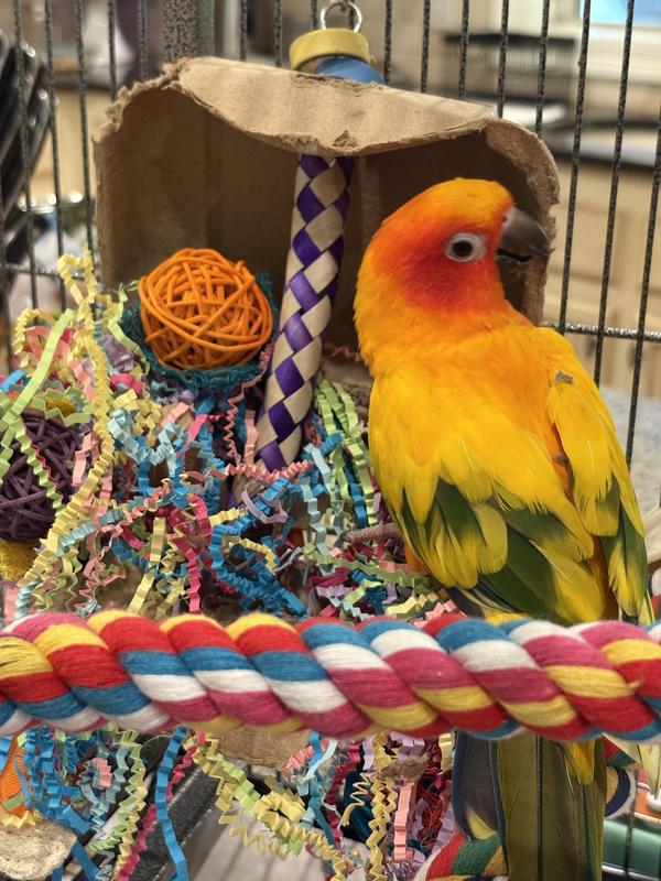 The new/ before picture