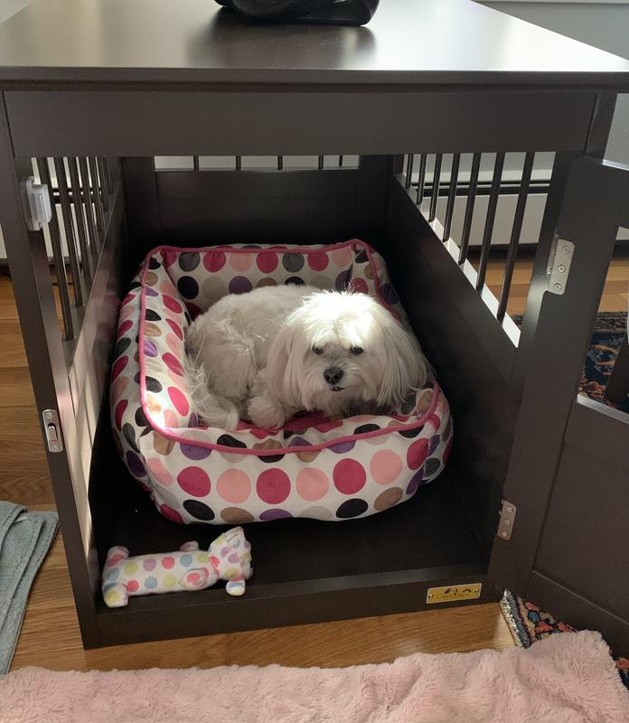 Mocha is loving her new crate!