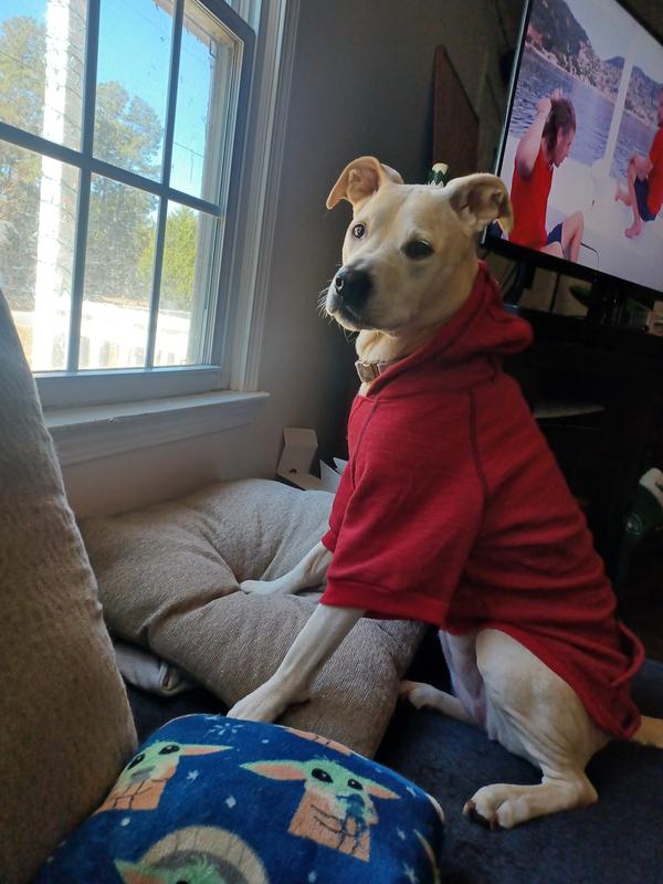 Sandy in her hoodie 2