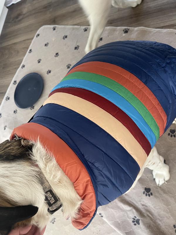 Frisco Lightweight Reversible Striped Packable Dog & Cat Puffer