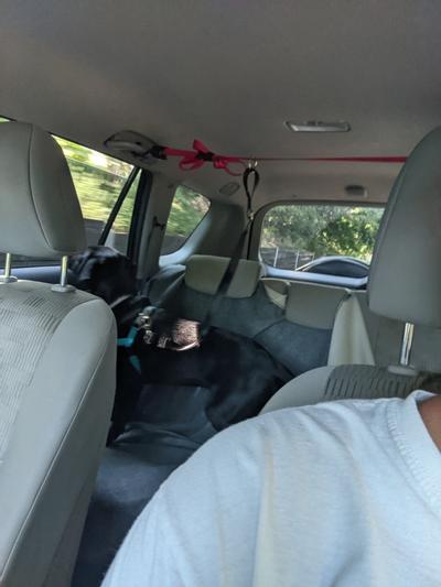 Solvit Pup Zip Zipline Dog Seat Belt