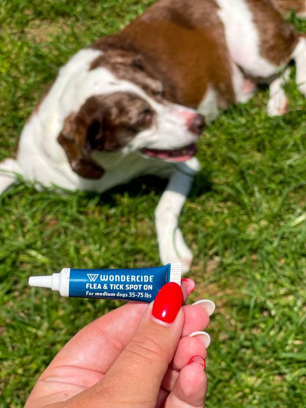 WONDERCIDE SpotOn Peppermint Flea & Tick Spot Treatment for Medium