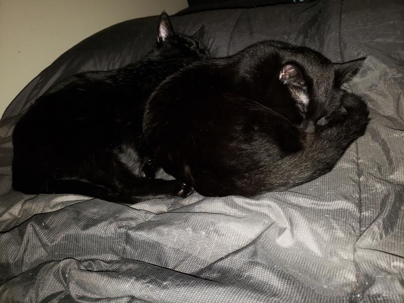 They got it all out and passed out