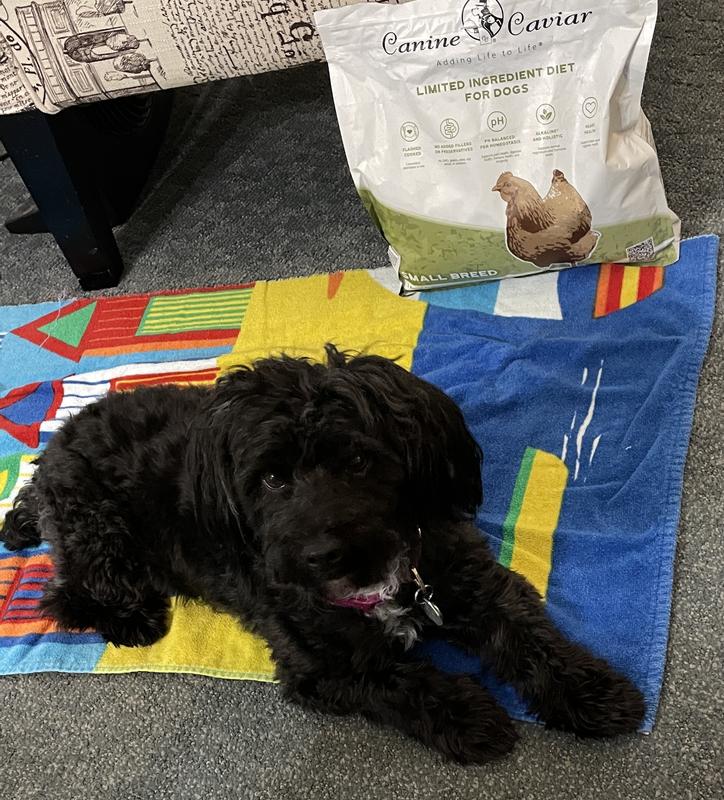 I'll do ANYTHING for my Canine Caviar!