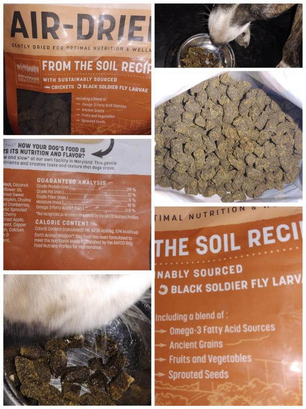 Earth Animal Wisdom Air-Dried Dog Collage with photos of my Princess eating and enjoying the food.