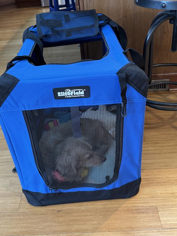 Crate from front with dog.