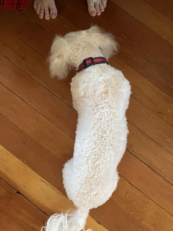 Even cutting in her back.