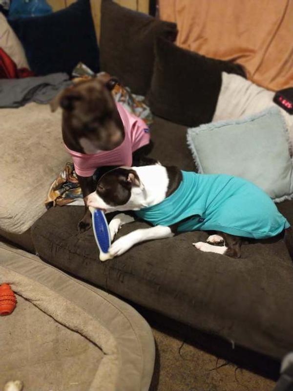 Lily and Maverick in their t-shirts