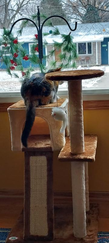 Took off top platform