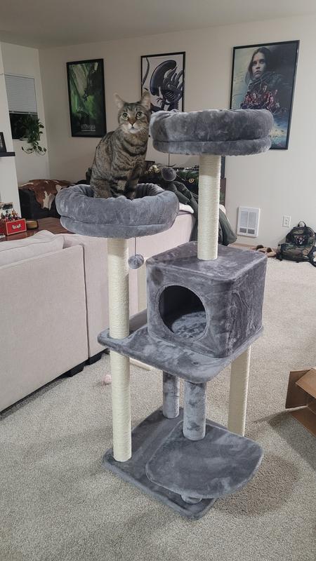 FRISCO 55-in Faux Fur Cat Tree & Condo, Dark Charcoal - Chewy.com