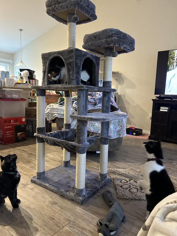 FRISCO 64in Cat Tree with Hammock, Condo, 2 Top Perches with Bed, Gray