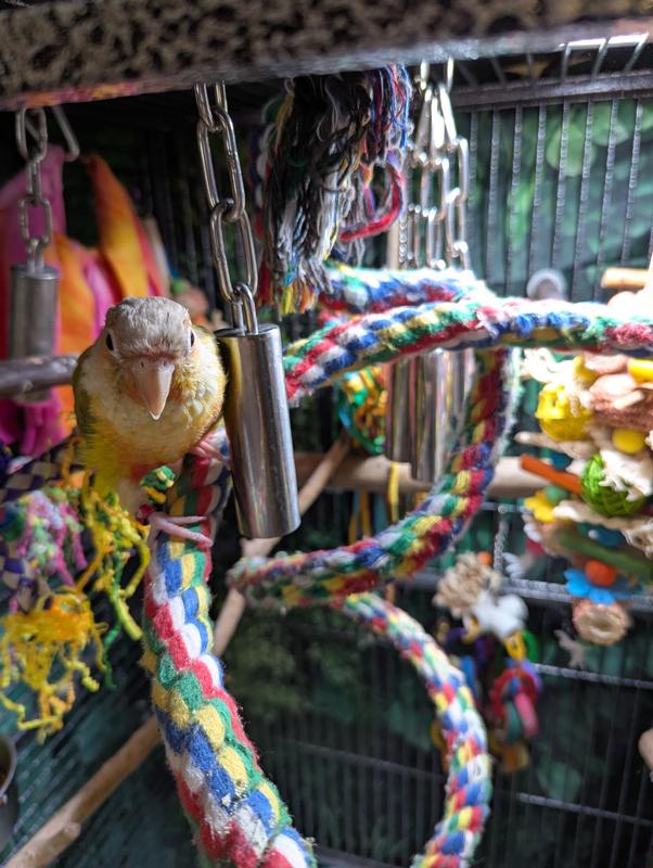 Mr Peanut and one of his bells