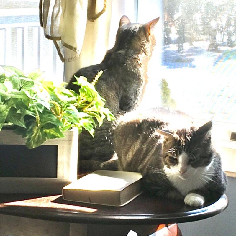Bitty & Mr Big