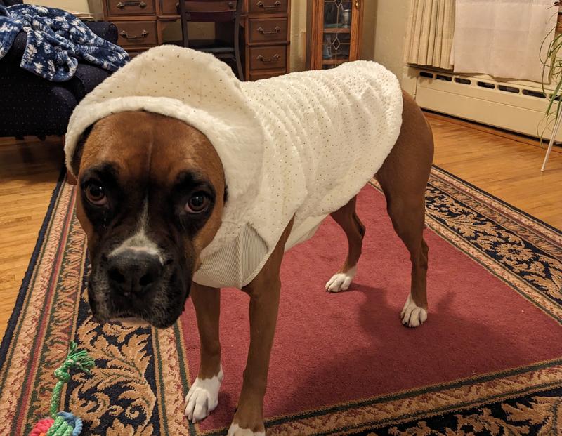 Frisco Plush Fur Dog & Cat Hoodie