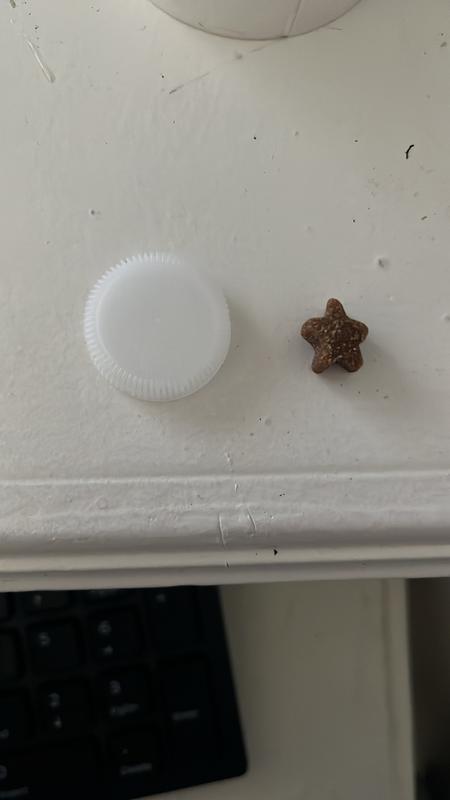 Size comparison to a bottle cap