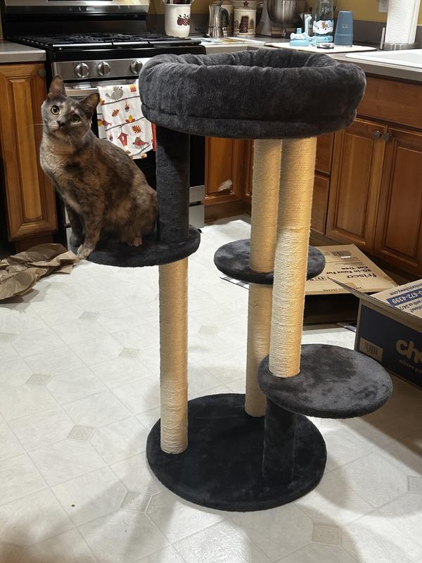 Nova on her newly built tree