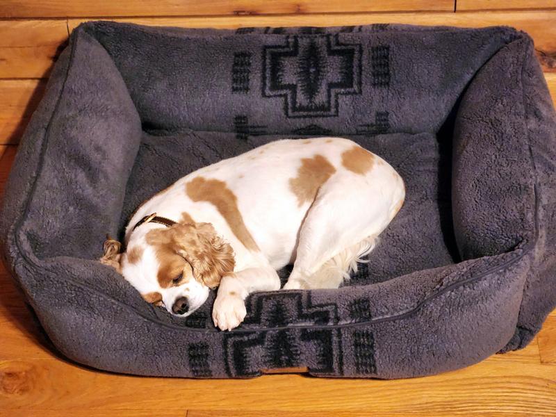 "I love our new bed...zzzzzzz..."