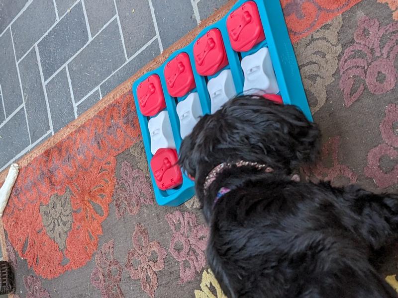 NINA OTTOSSON Dog Brick Puzzle Toy - The Fish & Bone