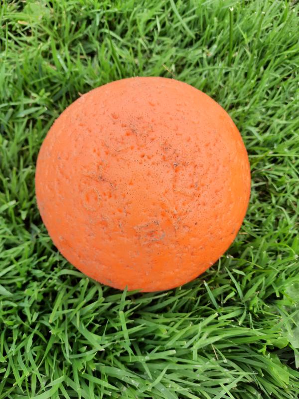 THIOPAR Dog Toys Balls, Herding Ball for Dogs,Almost Indestructible Dog  Ball, Ou