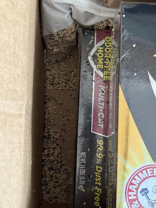 This is the birdseed in the bottom of the box from the torn bag.