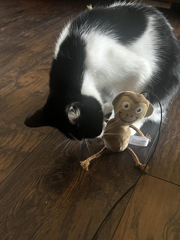 Bear with monkey