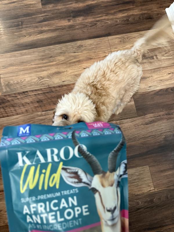 Before the first taste of love