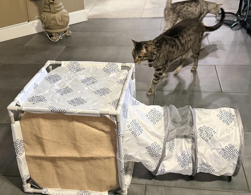 This side has a cat scratch