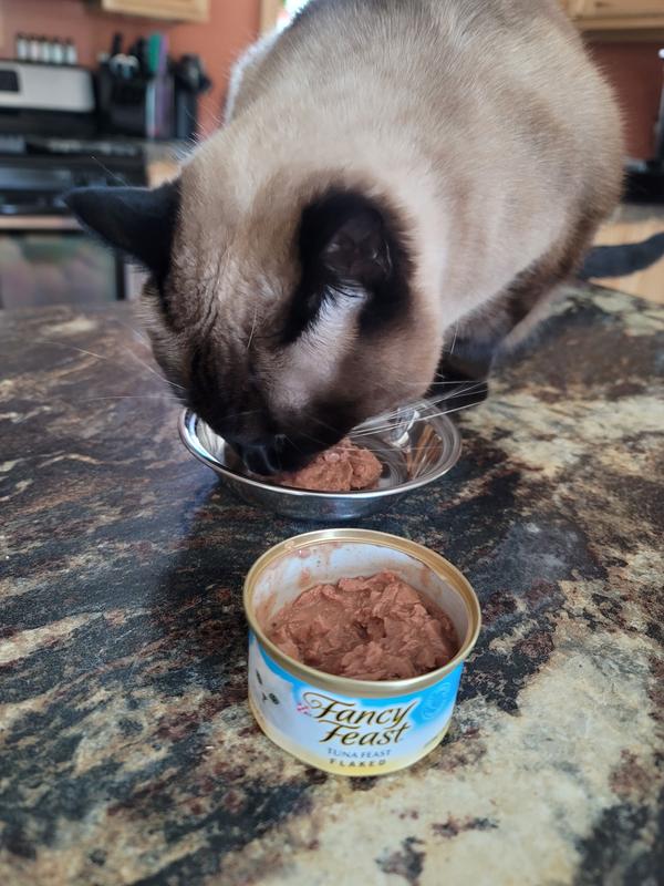 Fancy feast hotsell flaked tuna