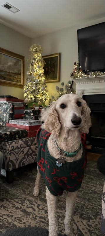 Cute Christmas Sweater