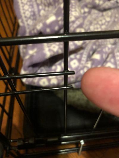 open metal bars that caught dogs collar
