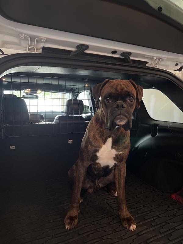 He had to get in The photo