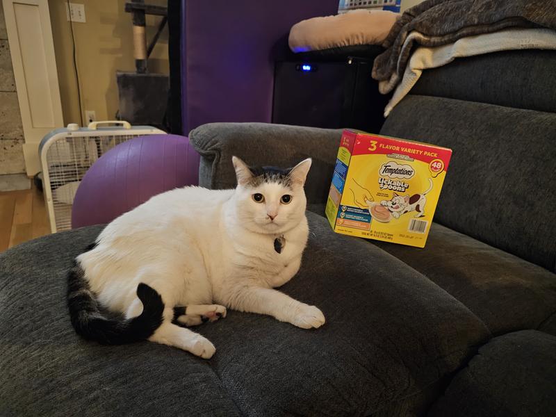 The box compared to our giant cat