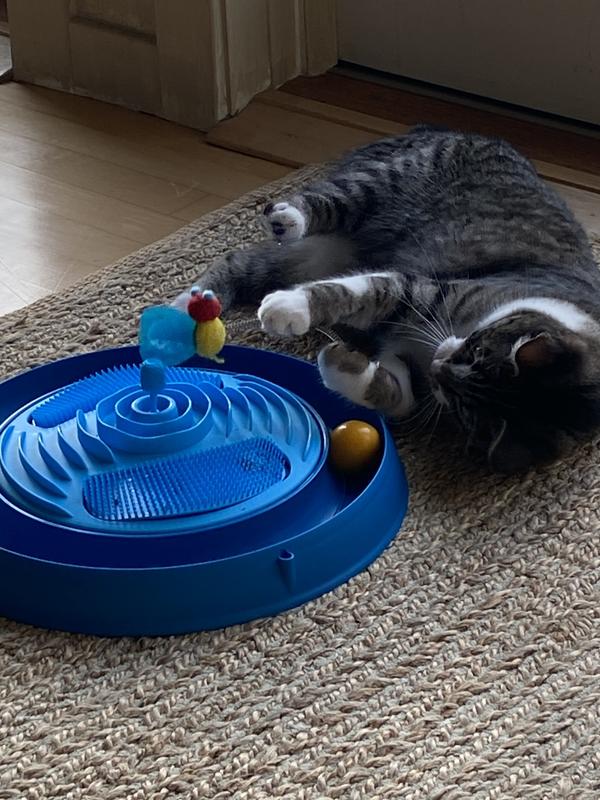 She can play with this lying down!