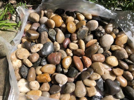 Slit open the bag and photographed outside